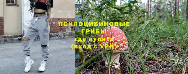 марихуана Абаза