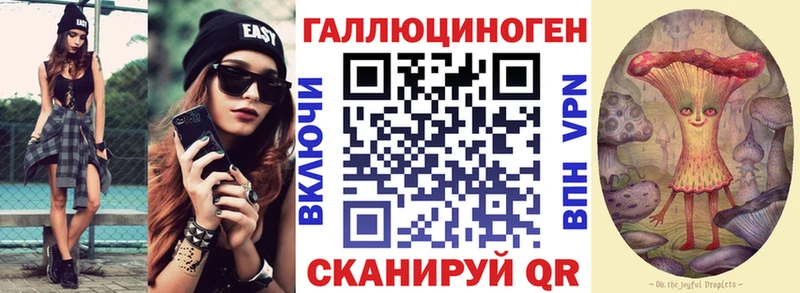 Псилоцибиновые грибы Psilocybe Кисловодск